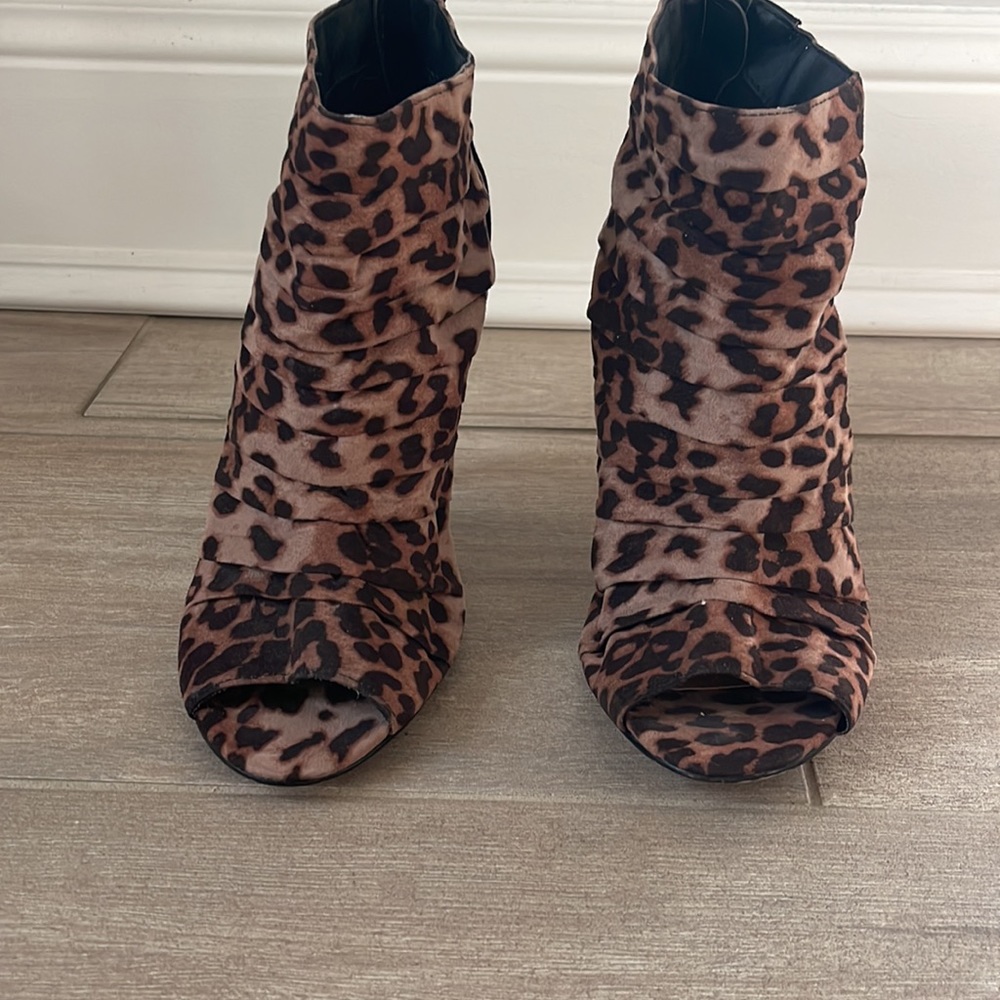 Leopard - Picture 2 of 5